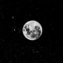 alyinvideoland avatar