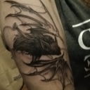 alysenwanderland avatar