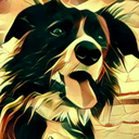 alyss-mainwaring avatar