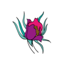 alyssafoote-blog avatar