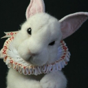 alyssasdepths avatar