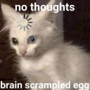 alyssawritesalot avatar