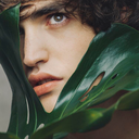 alzatierisplendi avatar