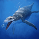 amagicalliopleurodon avatar