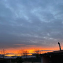 amamicomeneilibri avatar