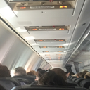 amanaemonesia avatar