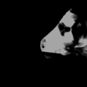 amanda-delarosh avatar