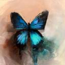 amandaadventurous avatar