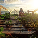 amandagabipenna avatar