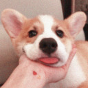 amandaisntcool avatar