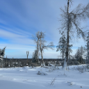 amandaisnthome avatar