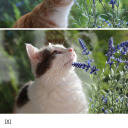 amandapleasedotcom avatar