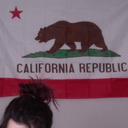 amandercommander avatar