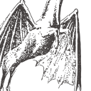 amanfromnewjersey avatar