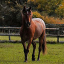 amaranphixphotography avatar