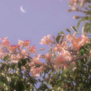 amaranthine-psyche avatar