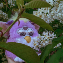 amaranthinedilemma avatar