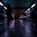 amaranthinestar avatar