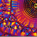 amaranththallium avatar