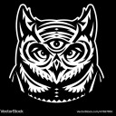 amaristheowlcat avatar