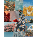 amarsincondiciones-amar avatar