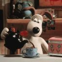 amateur-cowboy avatar