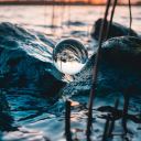 amateur-glass-chewer avatar