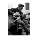 amatores-vitae avatar