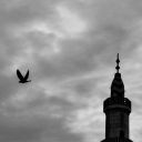 amatullah-solitude avatar