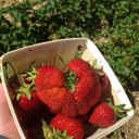 amazed-silence avatar