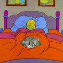 amazing-post-archive avatar