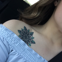 amazinganomoly avatar