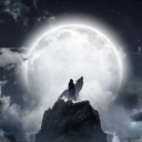 amazingartisticman avatar