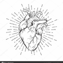 amazingdreamlove avatar