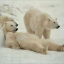 amazinggooddude avatar