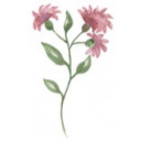 amazingheathers-shad0wbann3d avatar