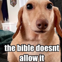 amazingmouthwash avatar