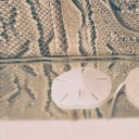 amazonbeachwalk avatar