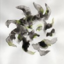 amb1ance0pinel avatar