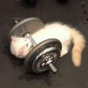 amberfalls201 avatar