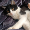 ambientfish420 avatar