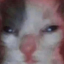 ambiguous-aesthetics avatar