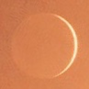 ambiguous-creature avatar