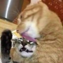 ambitious-and-anxious avatar