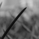 ambitious-blog avatar