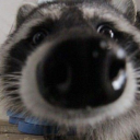 ambitiousunicorn avatar