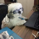 ambrosemorgan333 avatar