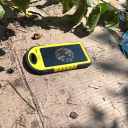 amdeoaquarium avatar