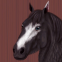 ameliadarkhaven avatar