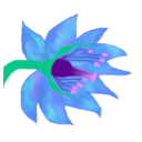 ameliedebruyne avatar